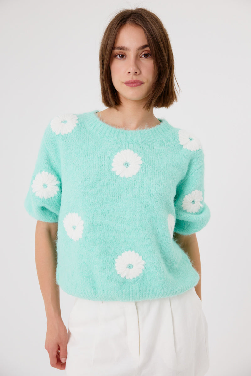 Cyrielle Short Sleeve Jumper (Mint)