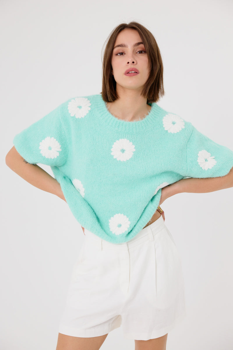 Cyrielle Short Sleeve Jumper (Mint)