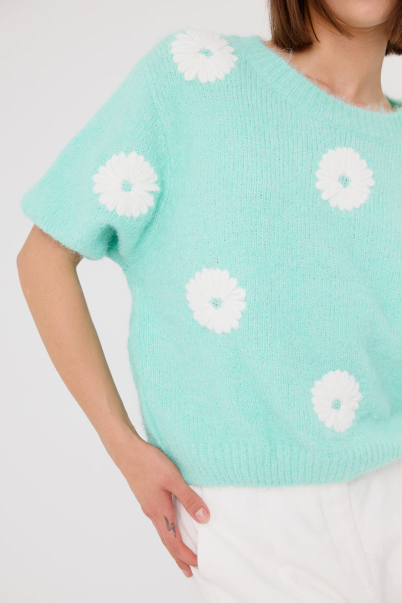 Cyrielle Short Sleeve Jumper (Mint)