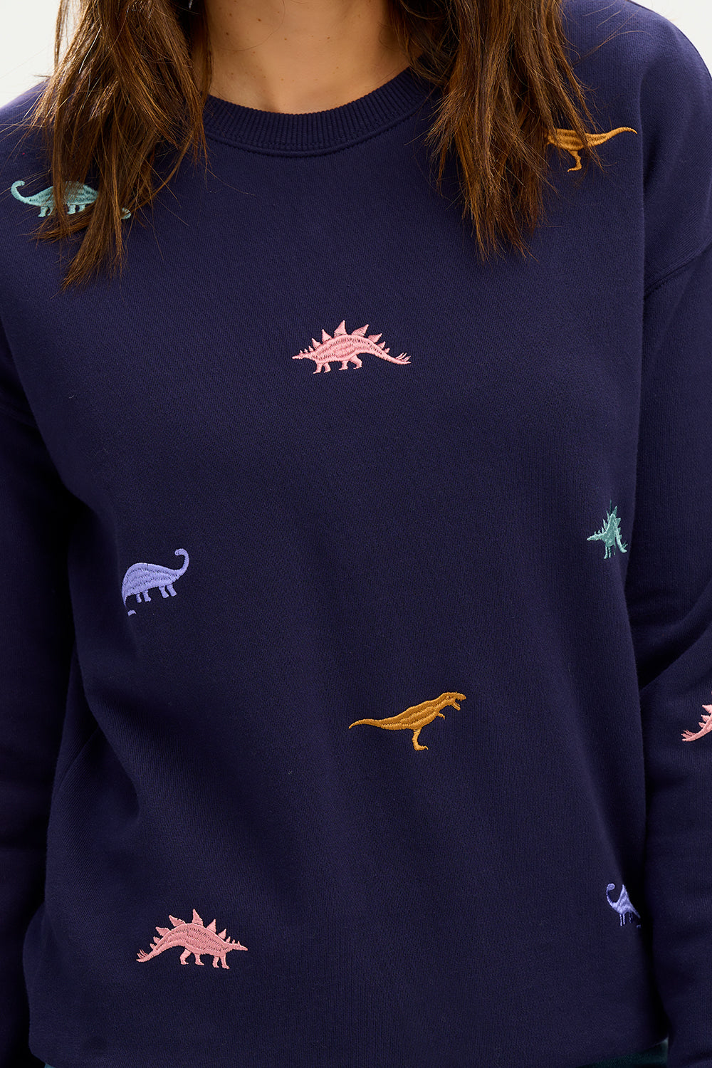 Noah Sweatshirt - Navy, Dinosaur Embroidery