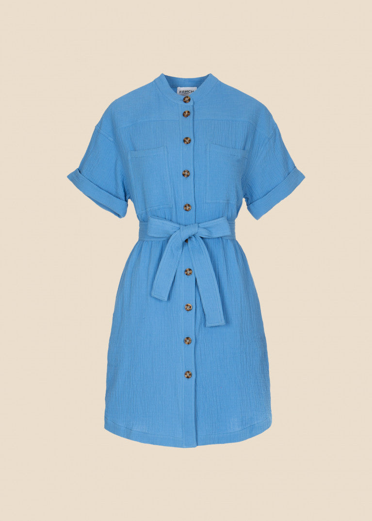 Fanny Shirt Dress (Blue)